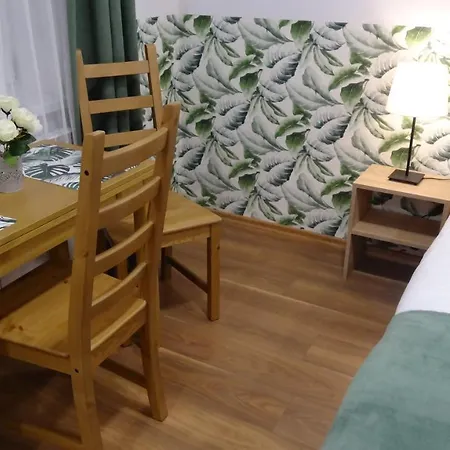 Villa Magnolia Oświęcim Esterno foto